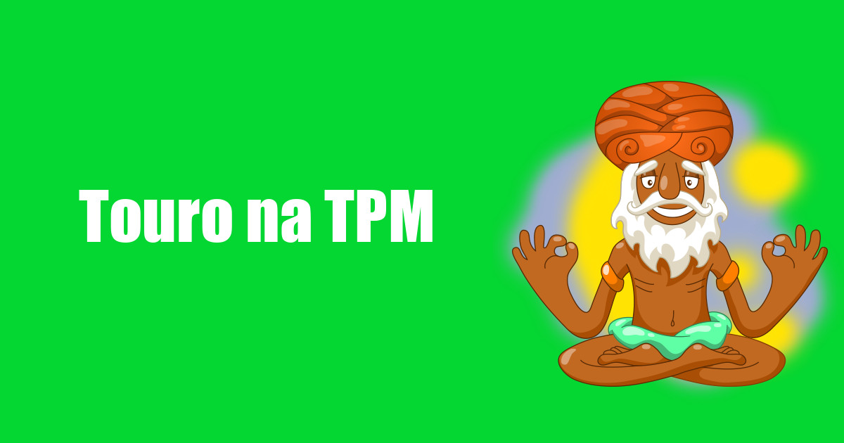 imagem do post touro-na-tpm