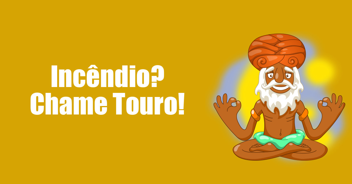 imagem do post incendio-chame-touro