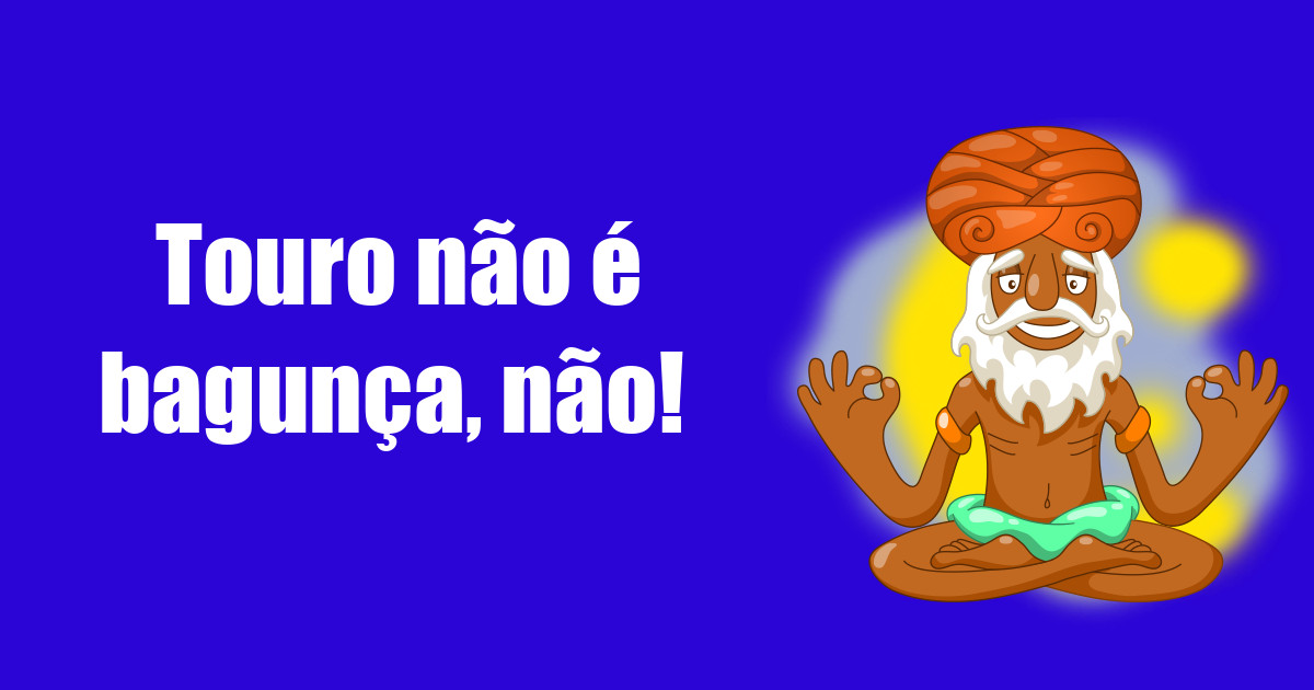 imagem do post touro-nao-e-bagunca-nao