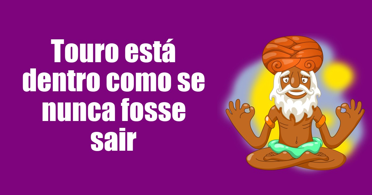 imagem do post touro-esta-dentro-como-se-nunca-fosse-sair