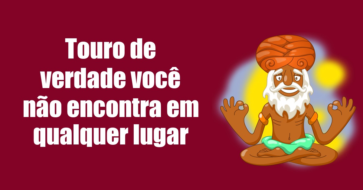 imagem do post touro-de-verdade-voce-nao-encontra-em-qualquer-lugar