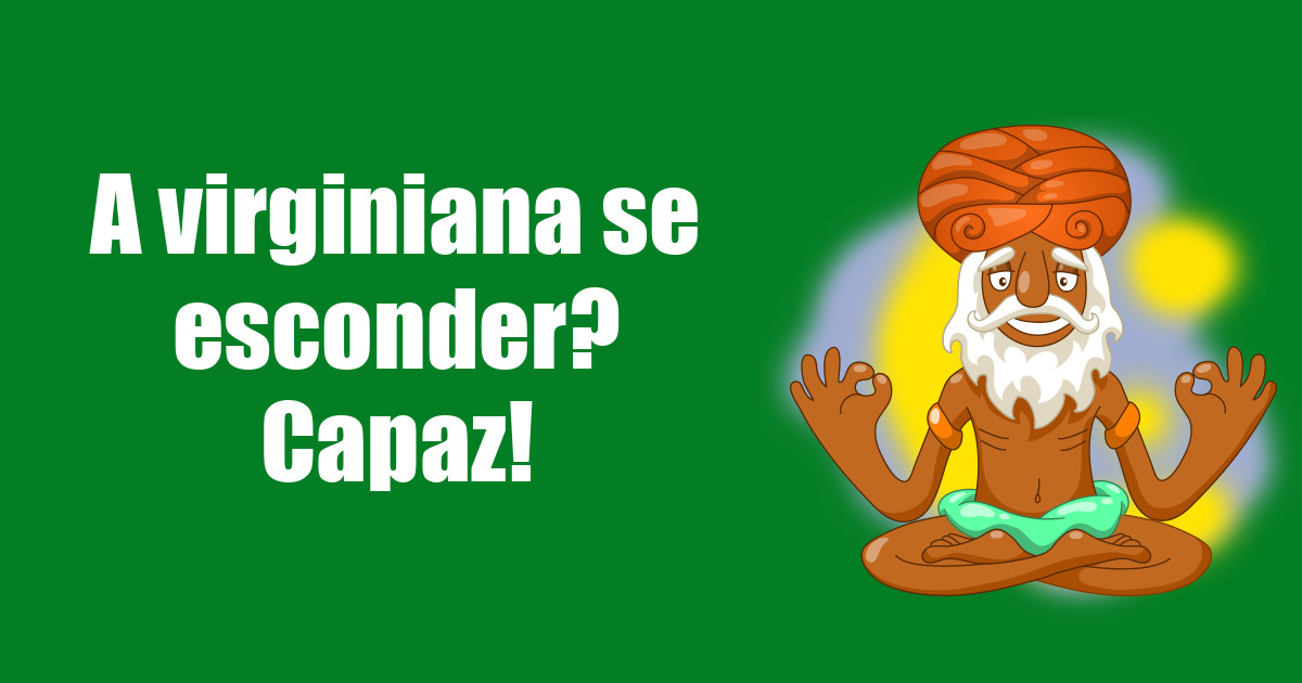 imagem do post a-virginiana-se-esconder-capaz