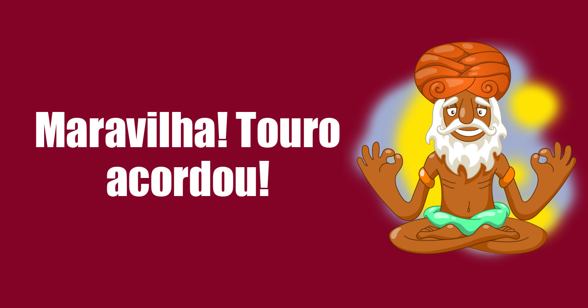 imagem do post maravilha-touro-acordou